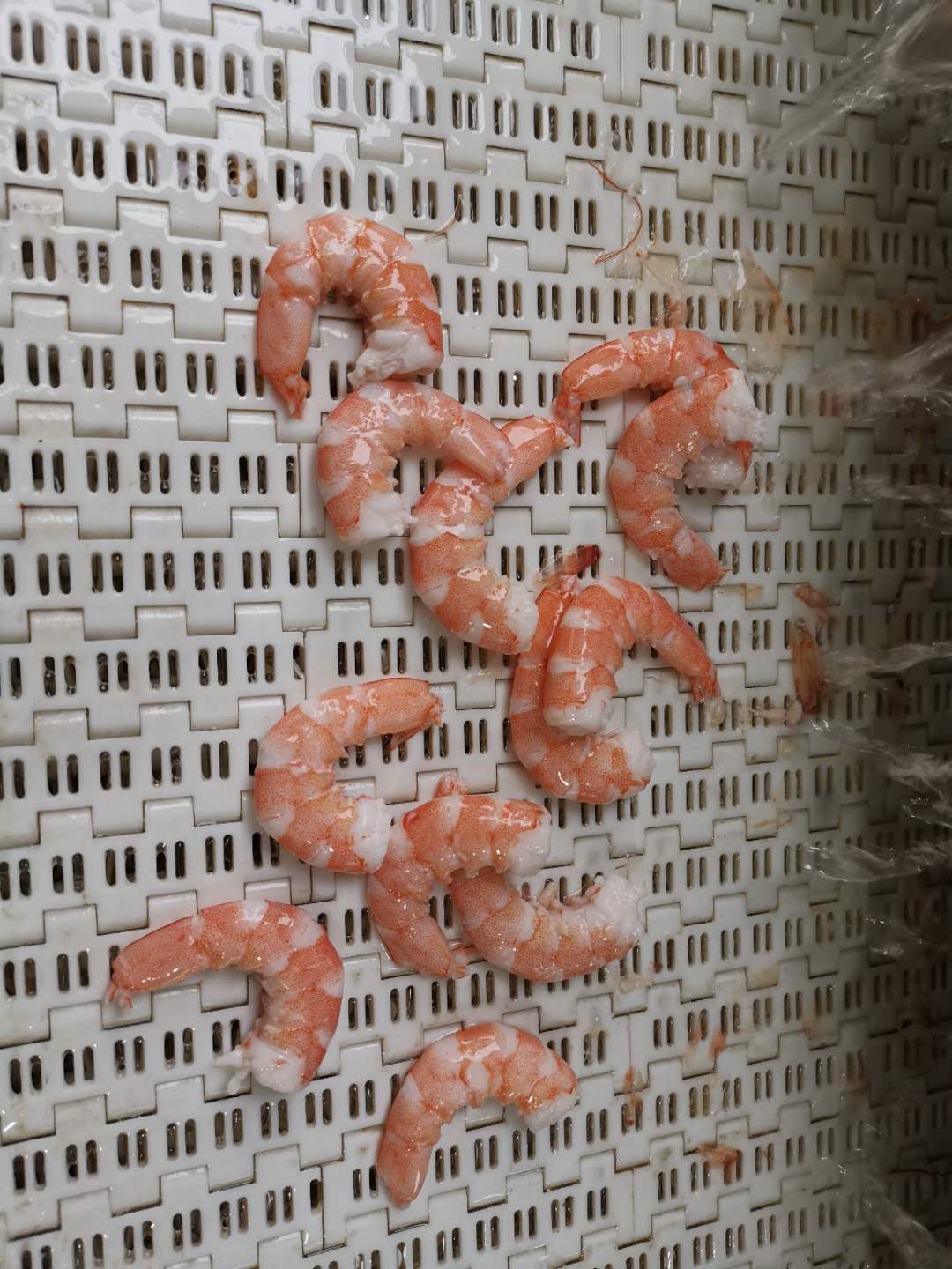 熟虾成品效果图