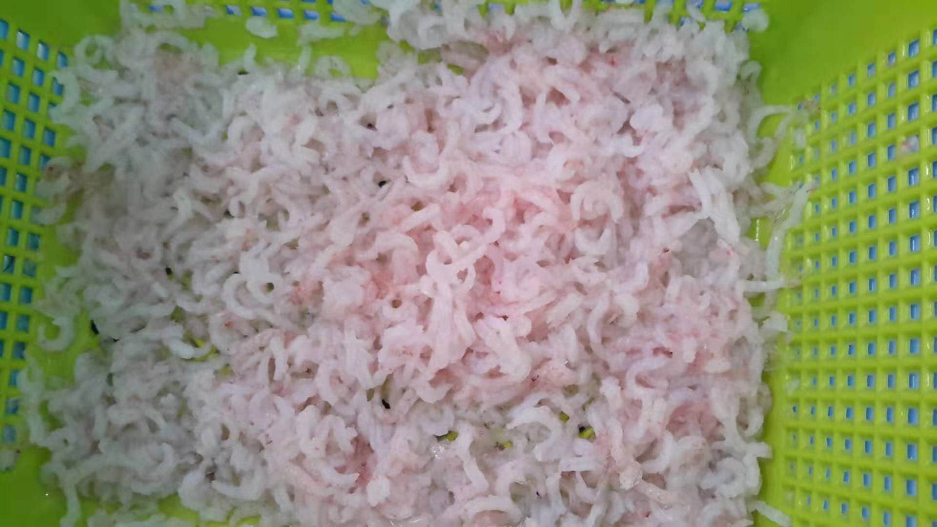 南极磷虾成品效果图