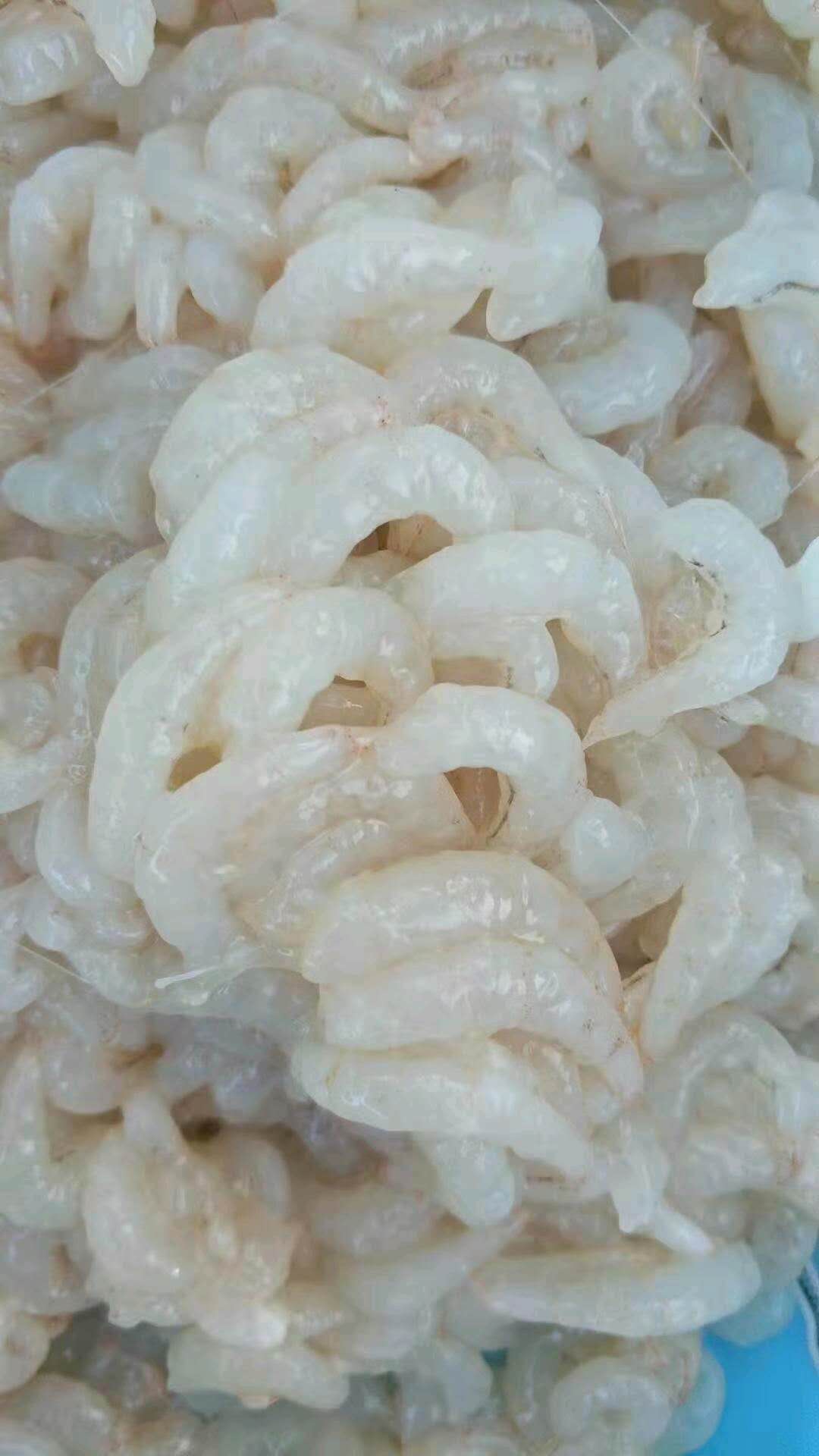 淡水湖小白米虾