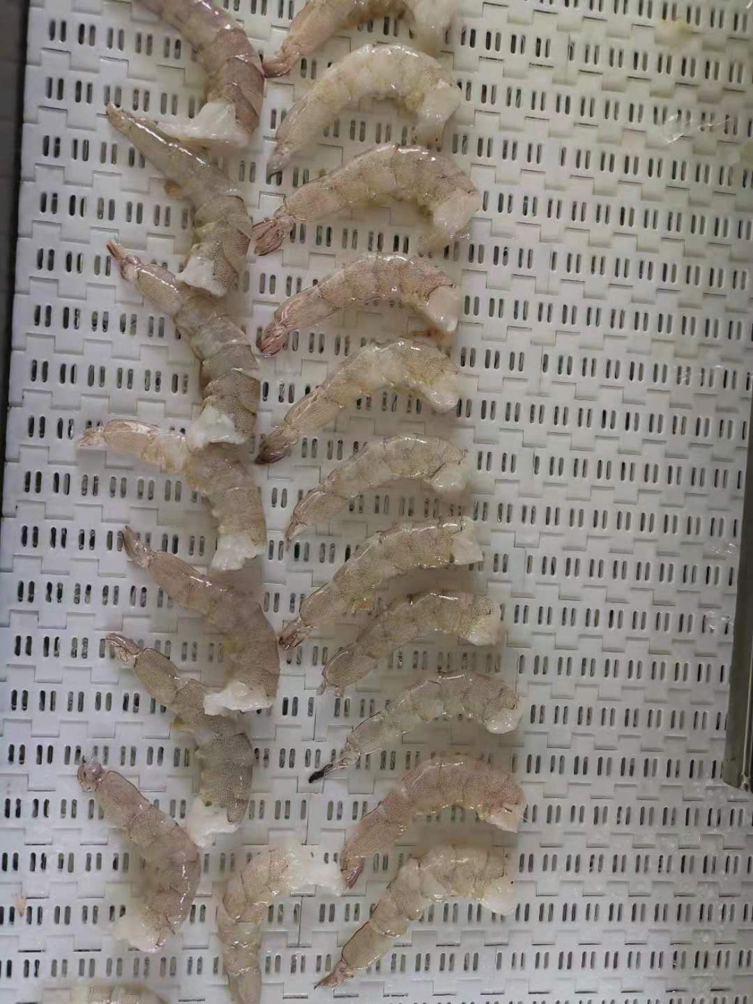 南美白虾成品效果图